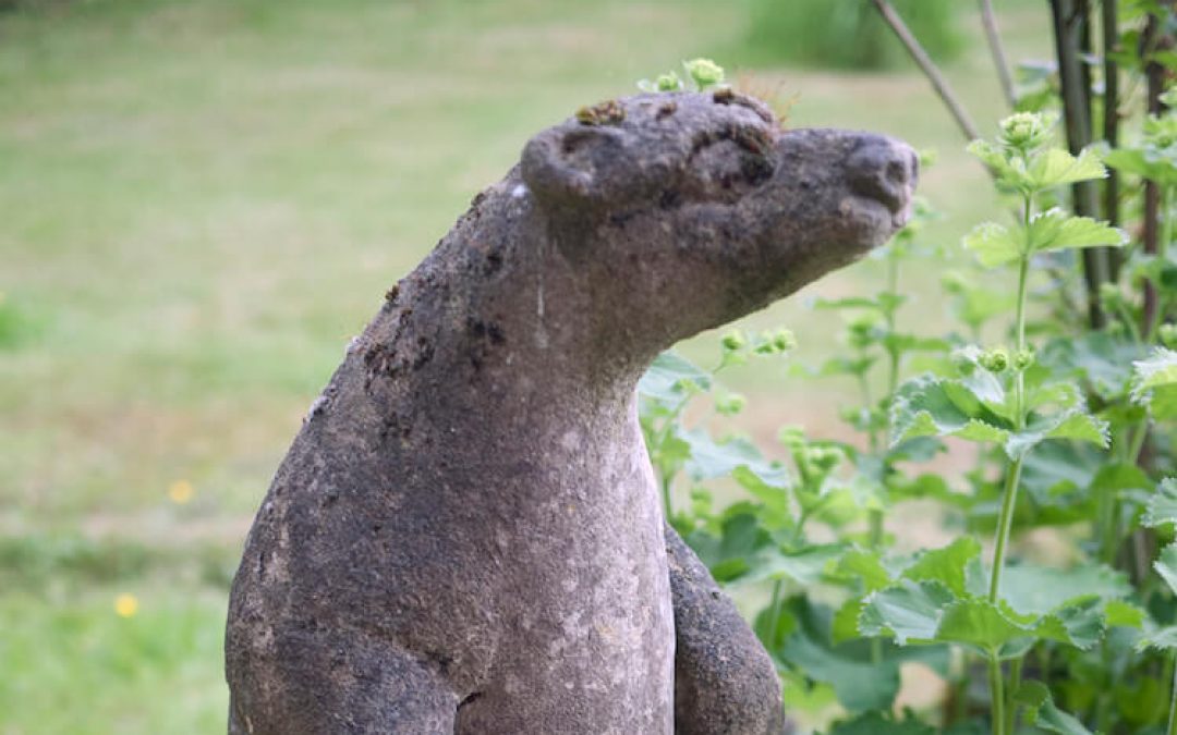 Garden Bear