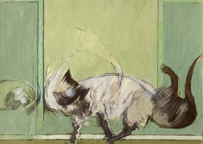 Study for Cats